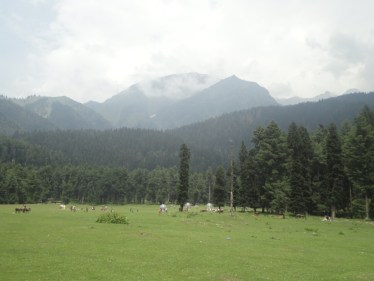 kashmir