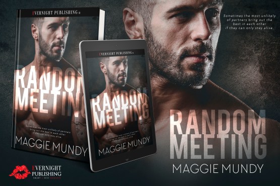 randommeeting-efvernightpublishing-dec2016-ereader